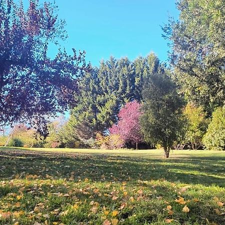 Cautiva Morena San Martin de los Andes Luaran gambar