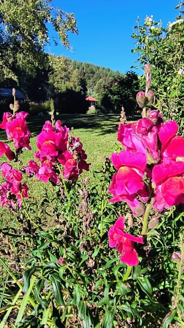 Cautiva Morena San Martin de los Andes Luaran gambar
